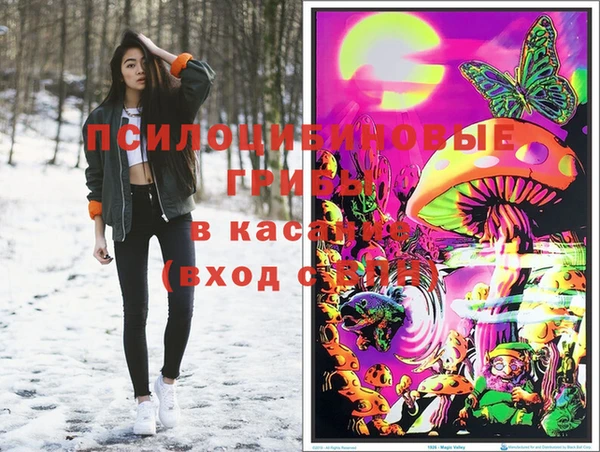 ECSTASY Алзамай