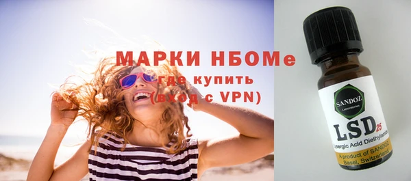 ECSTASY Алзамай
