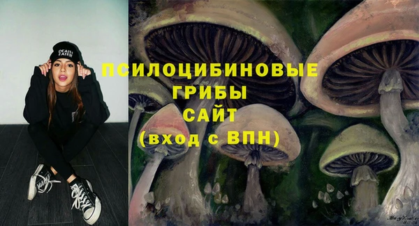 героин Алексин